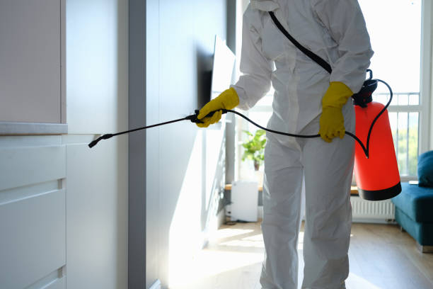 Mold Remediation for Vacation Homes in Long Beach, NY